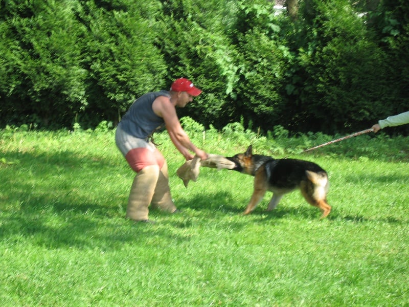 Publication : De La Beadrie