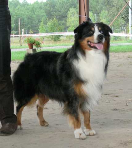 Publication : des Chemins Cathares