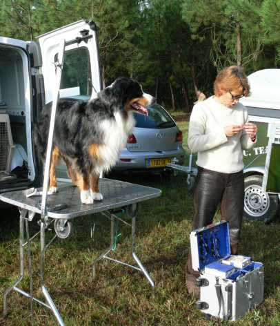 Publication : des Chemins Cathares