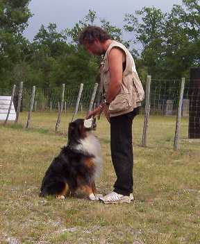 Publication : des Chemins Cathares