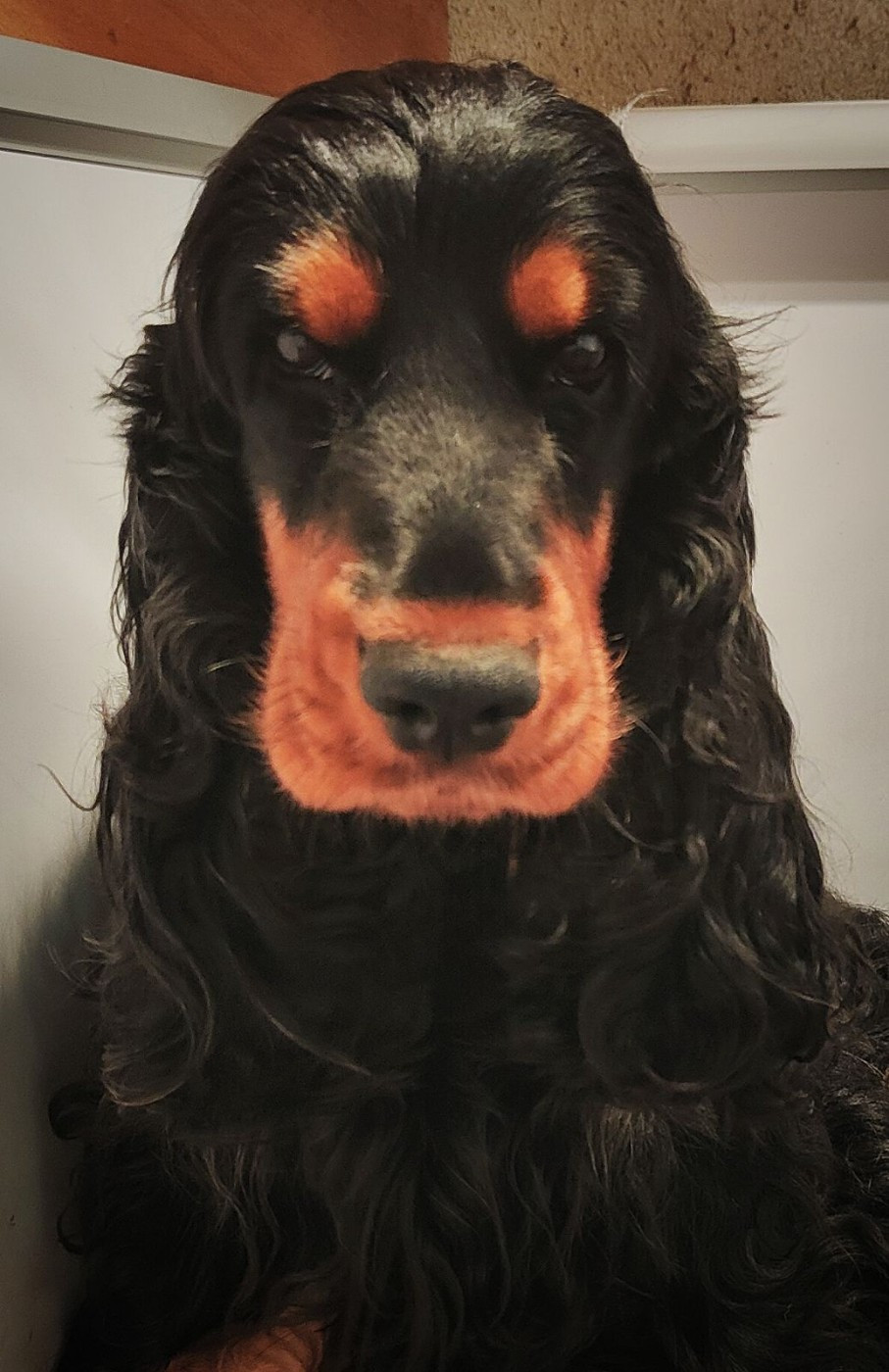 Sucrett des geants du bocage