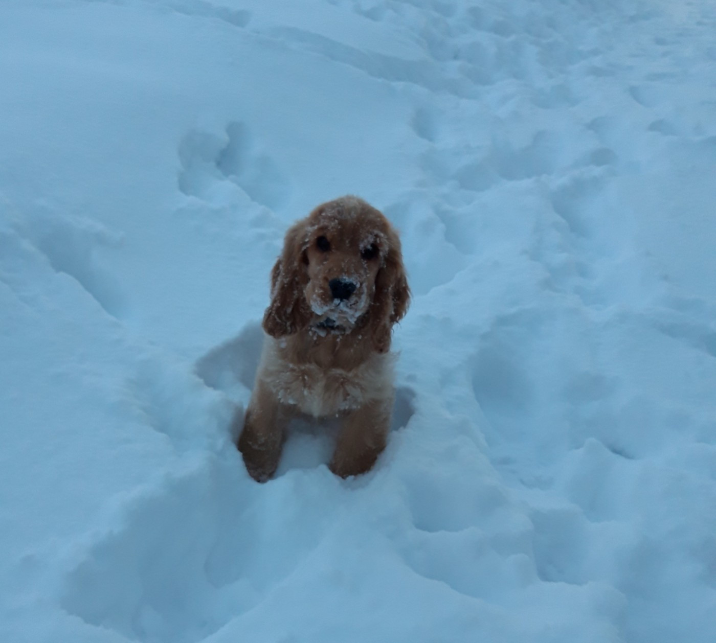 Abyss des geants du bocage