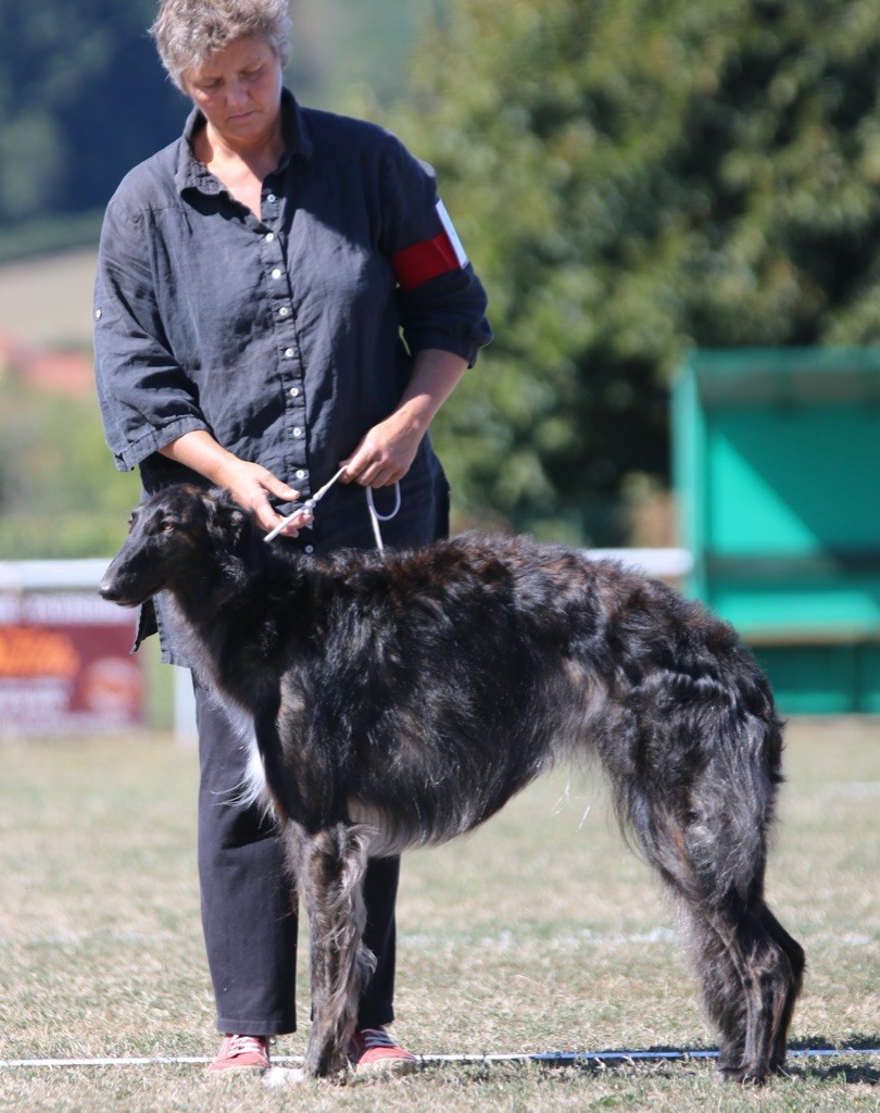 Publication : d'Ellendil