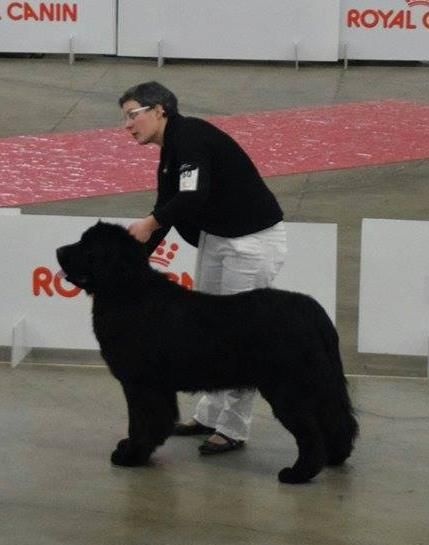 Live irrésistible du sentier des cardabelles - 3ème TB