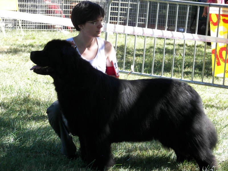 Béléna Des sentiers normands - 2ème Excellent - RCACS