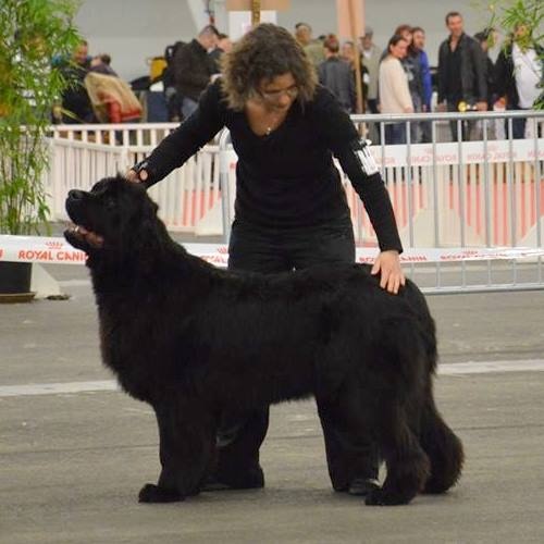 Gemmei - tenno du sentier des cardabelles - 3ème Très Bon