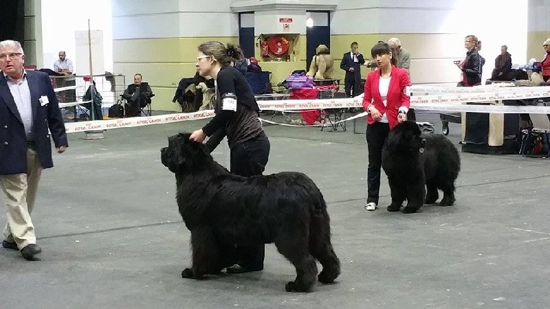 Gemmei - tenno du sentier des cardabelles - 2ème Excellente - R CACS -