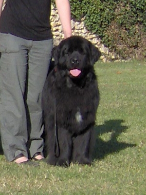 Béléna Des sentiers normands - Excellente