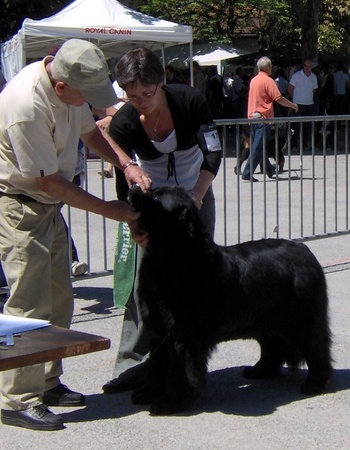 Béléna Des sentiers normands - 2ème Excellente - R CACS -