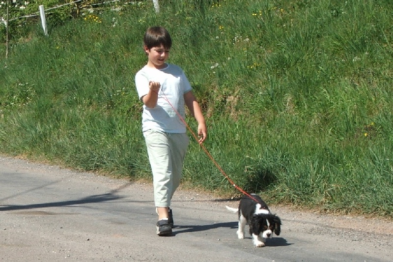 Publication : de la Vallée d'Alina Auteur : MR LANGUINIER ALAIN