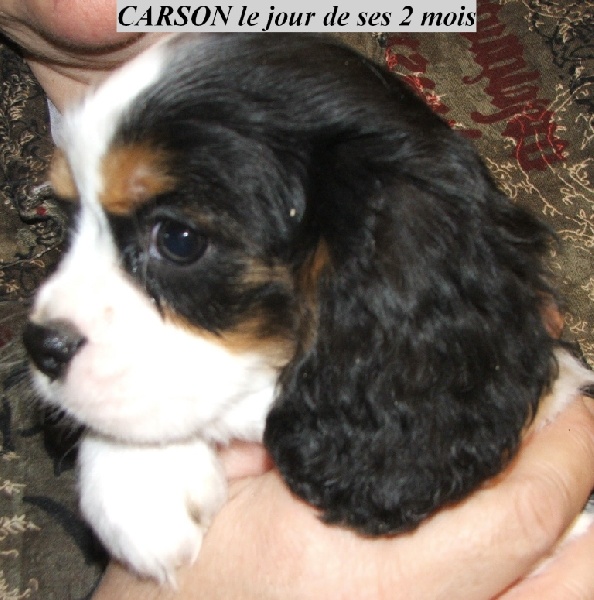 Publication : de la Vallée d'Alina Auteur : MR LANGUINIER ALAIN