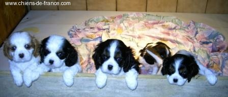 Publication : de la Vallée d'Alina