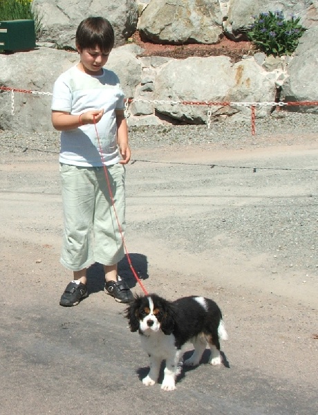 Publication : de la Vallée d'Alina Auteur : MR LANGUINIER ALAIN