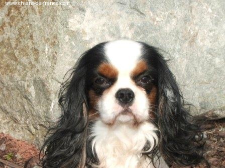 Publication : de la Vallée d'Alina