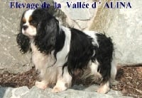 de la Vallée d'Alina
