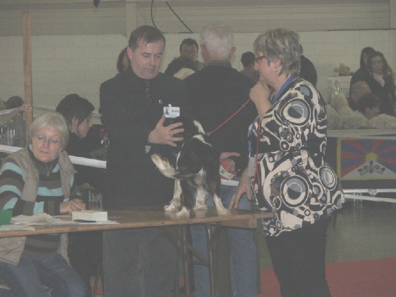 Carson de la Vallée d'Alina - TRES BON