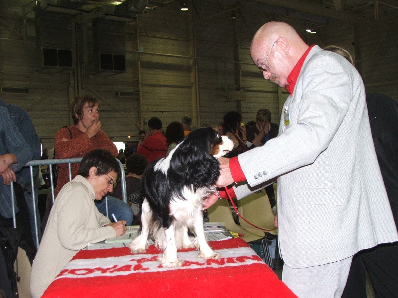 Carson de la Vallée d'Alina - 1er TRES BON CLASSE JEUNE