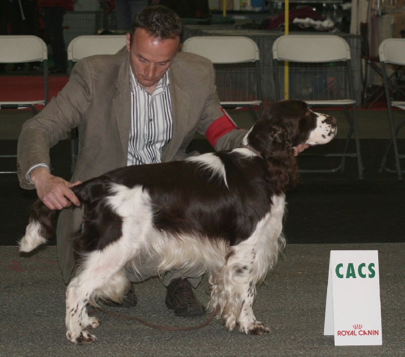 CH. Mompesson Challenge dit charlie - CACS - BOB - 3ème BIS