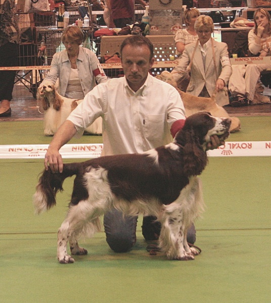 CH. Mompesson Challenge dit charlie - 3ème Exc