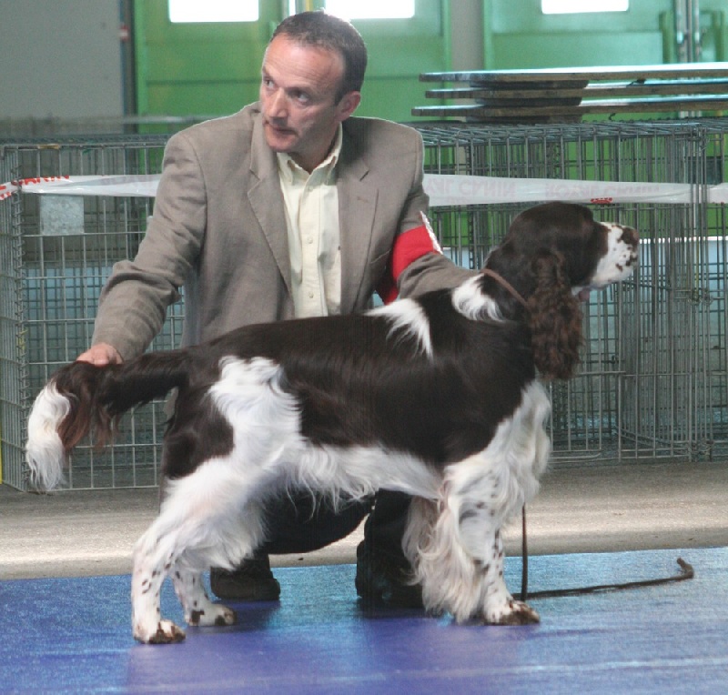 CH. Mompesson Challenge dit charlie - 1er EXC