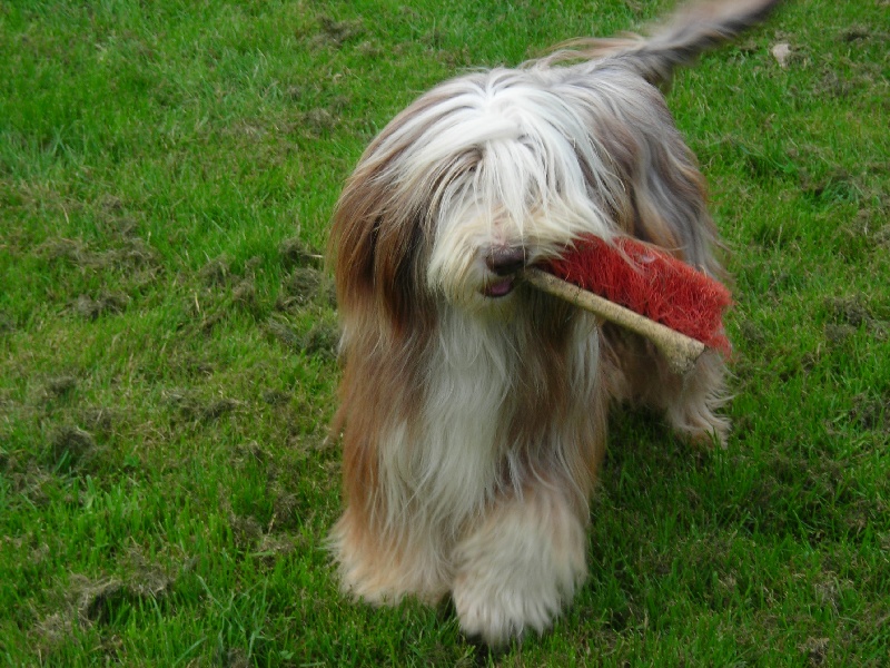 Tsarine dite vanille de la coffignole