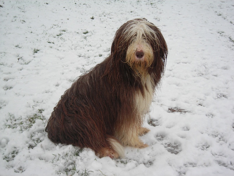 Tsarine dite vanille de la coffignole