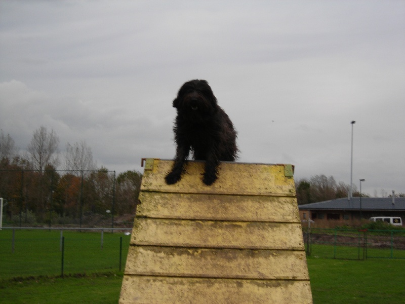 CH. Volcanite (Sans Affixe)