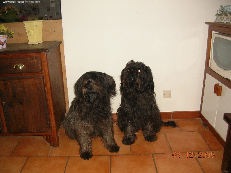 CH. Volcanite (Sans Affixe)