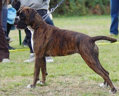 Publication : des près nouveaux Auteur : Jeantet Pierre-Michel