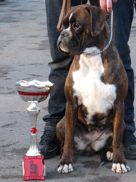 Publication : des près nouveaux Auteur : Jeantet Pierre-Michel