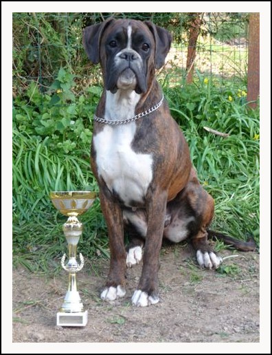 Publication : des près nouveaux Auteur : Jeantet Pierre-Michel