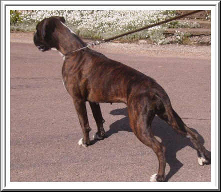 Publication : des près nouveaux Auteur : Jeantet Pierre-Michel