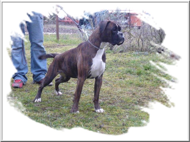 Publication : des près nouveaux Auteur : Jeantet Pierre-Michel