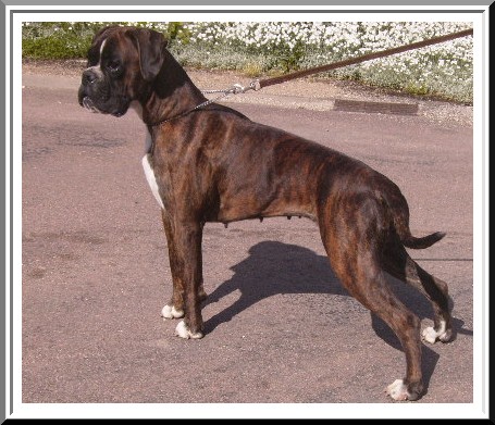 Publication : des près nouveaux Auteur : Jeantet Pierre-Michel