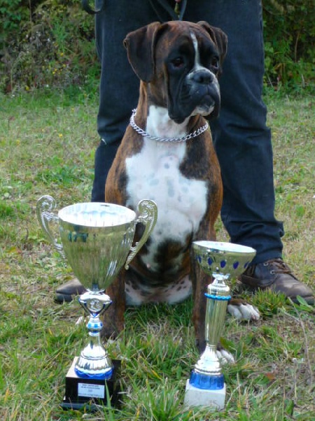 Cécoya des près nouveaux - 1ère Excellent et MEILLEURE JEUNE FEMELLE