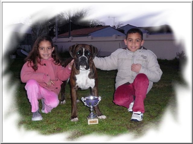 Cécoya des près nouveaux - 1ère Excellent CLASSE INTERMEDIAIRE