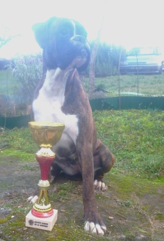 Cécoya des près nouveaux - 1ère Excellent CLASSE JEUNE