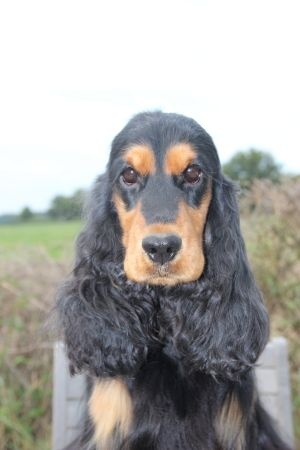 Publication : Du domaine des clayeux Auteur : Alice ANTON