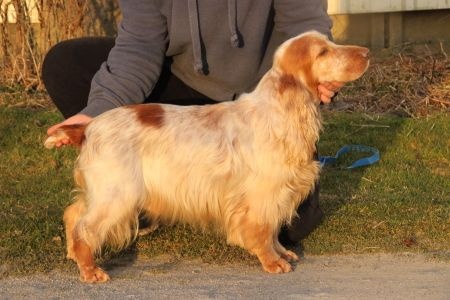 Publication : Du domaine des clayeux Auteur : Alice ANTON