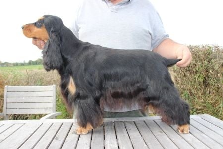 Publication : Du domaine des clayeux Auteur : Alice ANTON