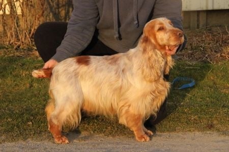 Publication : Du domaine des clayeux Auteur : Alice ANTON