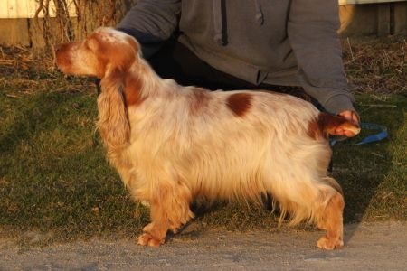 Publication : Du domaine des clayeux Auteur : Alice ANTON