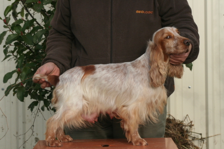 Publication : Du domaine des clayeux Auteur : Alice ANTON