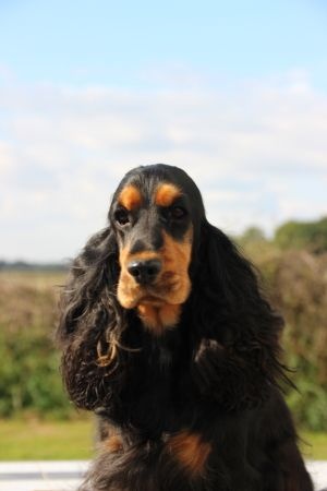 Publication : Du domaine des clayeux Auteur : Alice ANTON