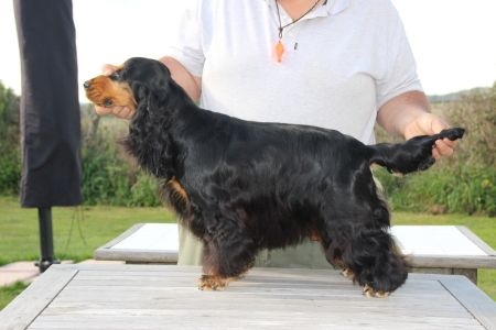 Publication : Du domaine des clayeux Auteur : Alice ANTON