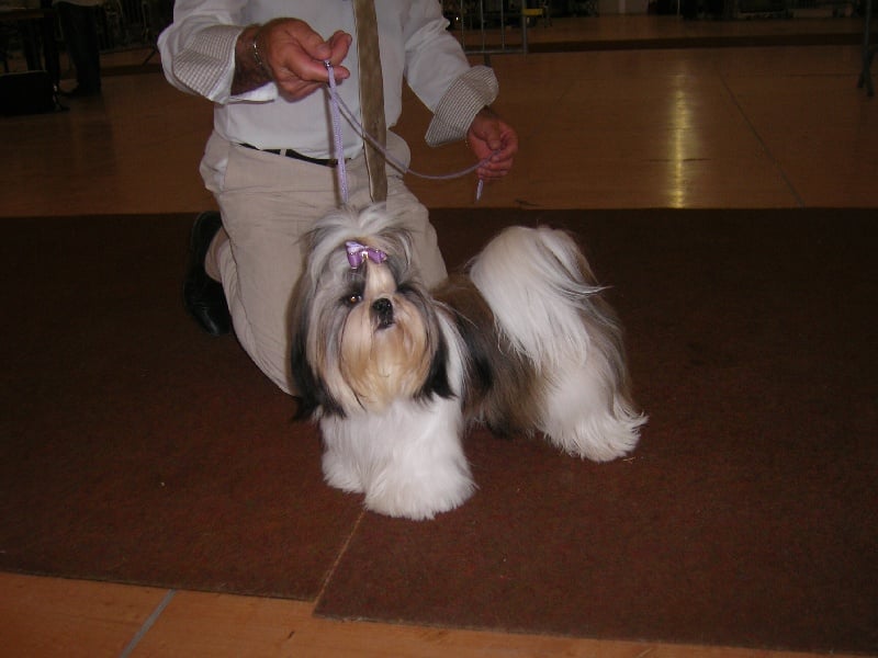 Fidji play-boy du domaine des Varennes