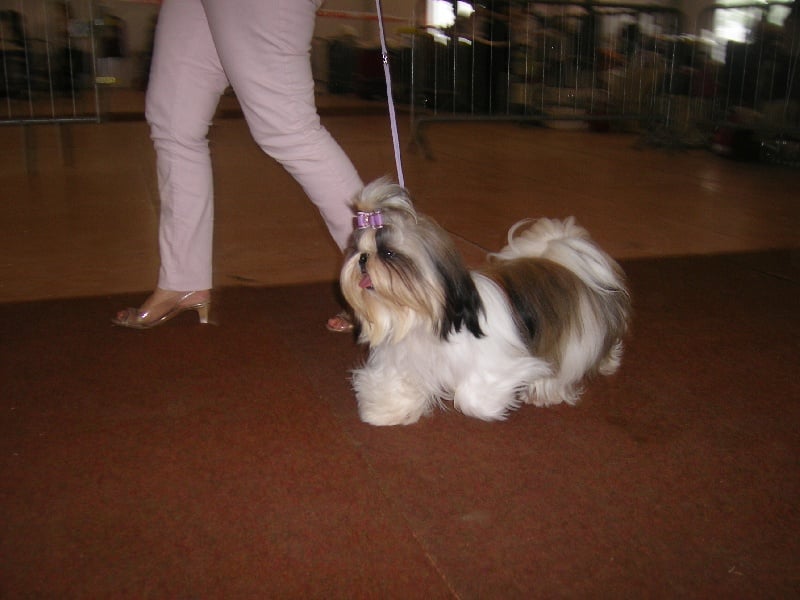Fidji play-boy du domaine des Varennes