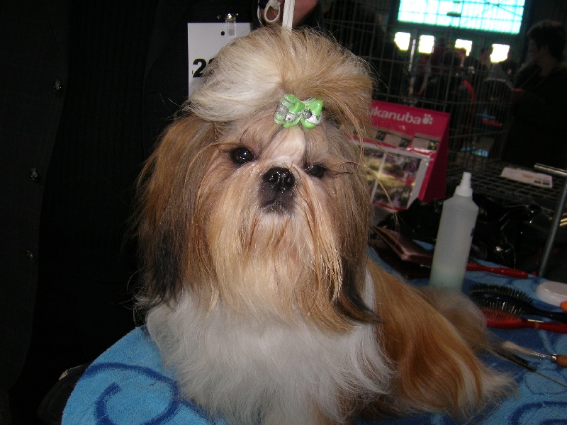 Enjoy du domaine des Varennes - 2 éme TRES BON (classe ouverte)