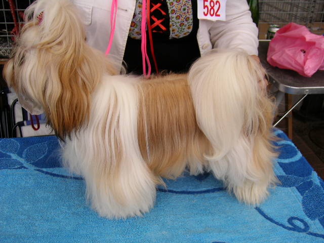 Enjoy du domaine des Varennes - 2 EME EXCELLENT(cl.jeune)