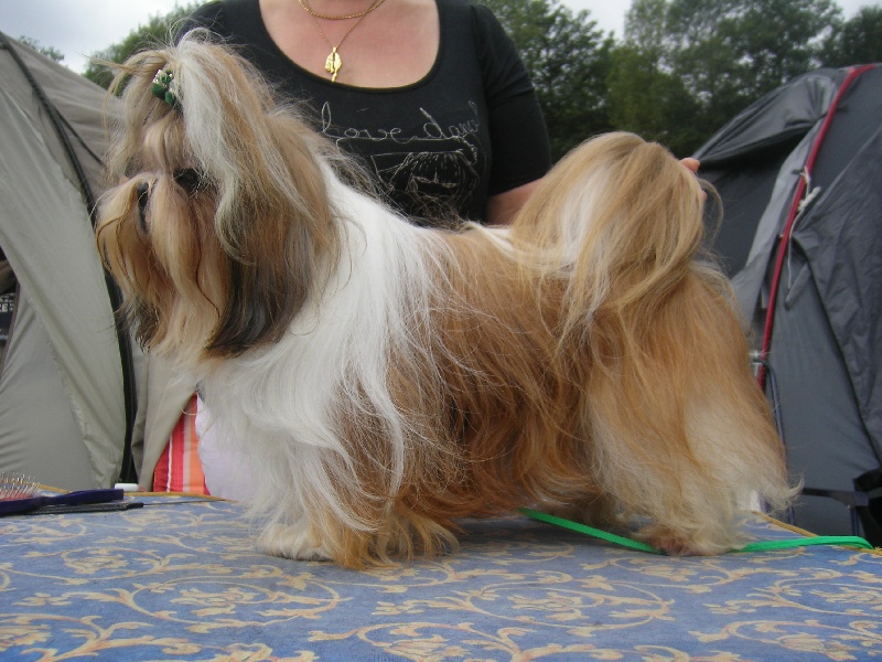 Enjoy du domaine des Varennes - 1er EXCELLENT+C.A.C.S.+MEILLEUR de RACE